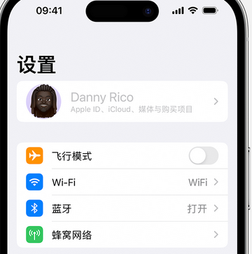 宁城appleID维修服务iPhone设置中Apple ID显示为灰色无法使用 