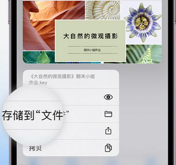 宁城apple维修中心分享iPhone文件应用中存储和找到下载文件