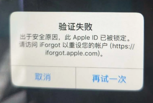 宁城iPhone维修分享iPhone上正常登录或使用AppleID怎么办 