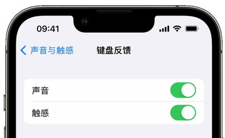 宁城苹果手机维修分享iPhone 14触感键盘使用方法 