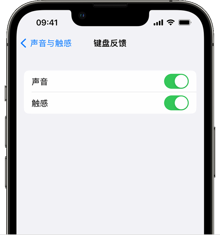 宁城苹果14维修店分享如何在 iPhone 14 机型中使用触感键盘 