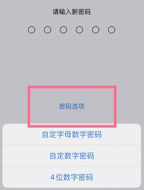 宁城苹果14维修分享iPhone 14plus设置密码的方法 