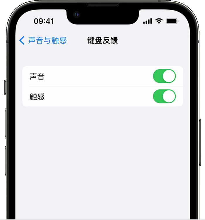 宁城苹果14维修分享iPhone 14 系列机型如何开启键盘声音或触感反馈 