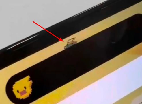 宁城苹果14维修分享iPhone 14 Pro Max灵动岛怎么养宠物 