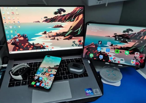 宁城苹果手机维修分享为什么iPad屏幕更大价格却比iPhone低 