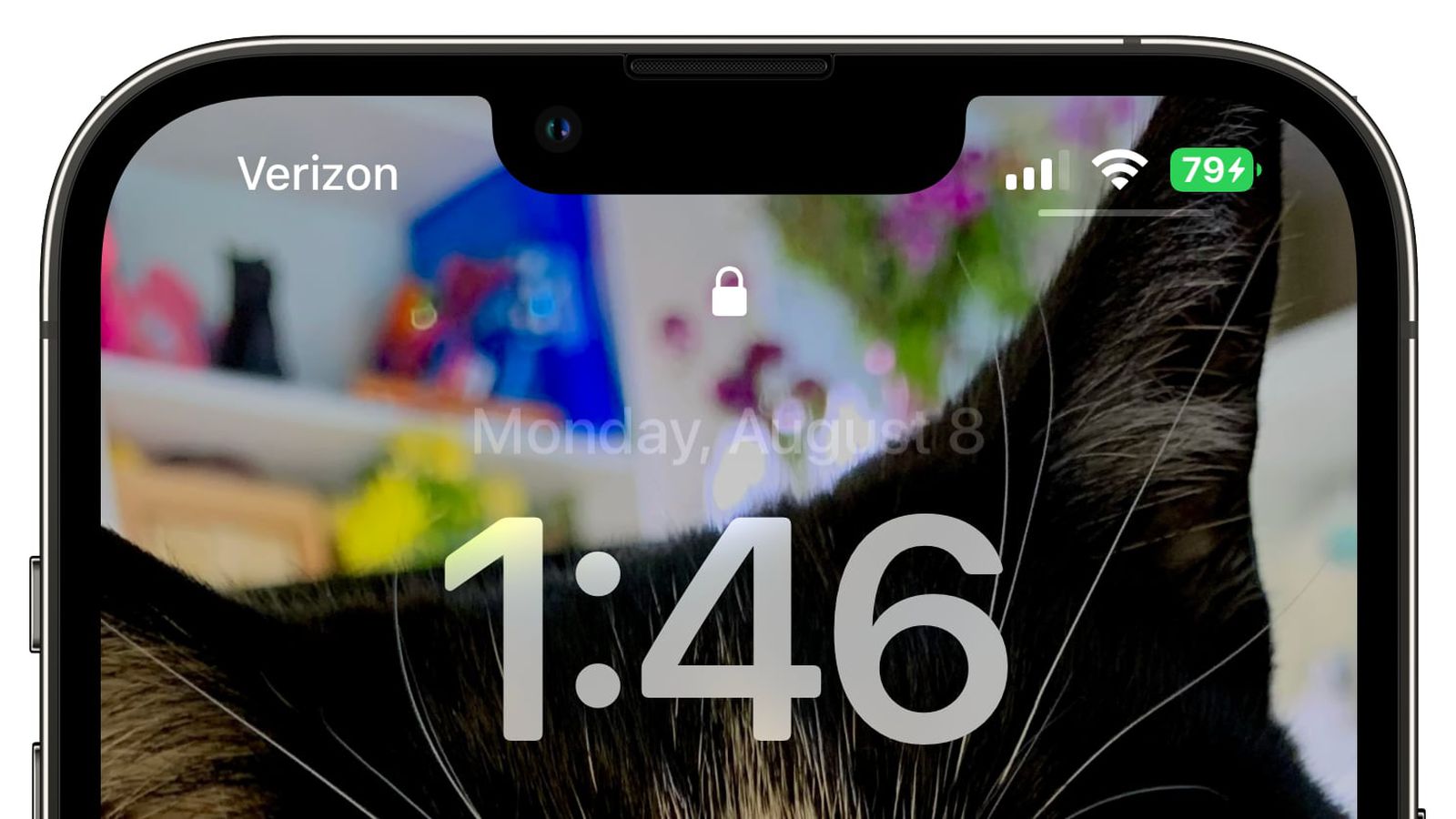 宁城苹果手机维修分享iOS 16 beta 5 支持状态栏显示电池百分比，如何开启？支持哪些机型 