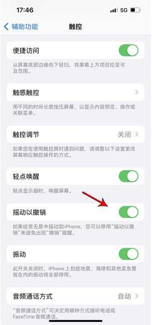 宁城苹果手机维修分享iPhone手机如何设置摇一摇删除文字 