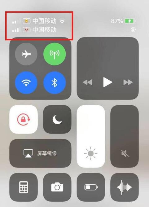 宁城苹果手机维修分享为 iPhone 12 双卡设置标签 
